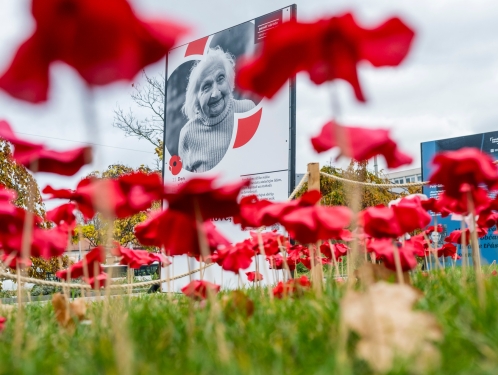 Muzeum v přírodě Vysočina se sbírkou připojuje ke Dni válečných veteránů