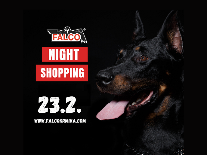 NIGHT SHOPPING VE FALCU!