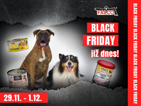 PRÁVĚ ODSTARTOVAL BLACK FRIDAY!